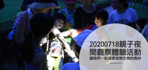 2020夏季【夜間生態觀察】教育推廣活動
