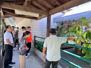 導覽老師講解園區植物