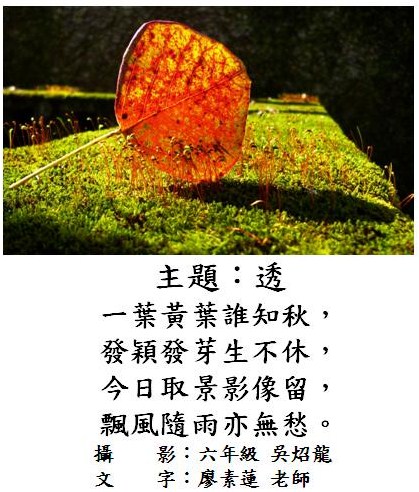 標誌