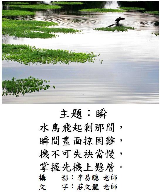 標誌