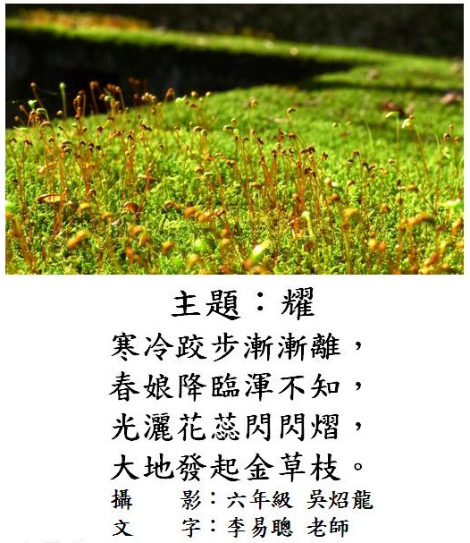 標誌