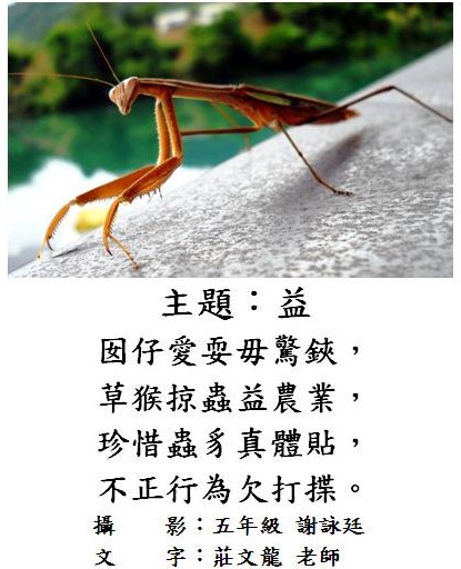 標誌