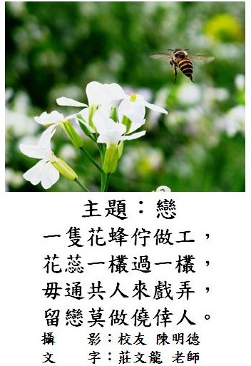 標誌