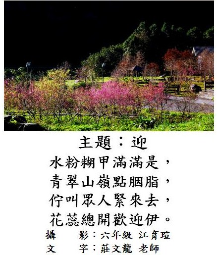 標誌