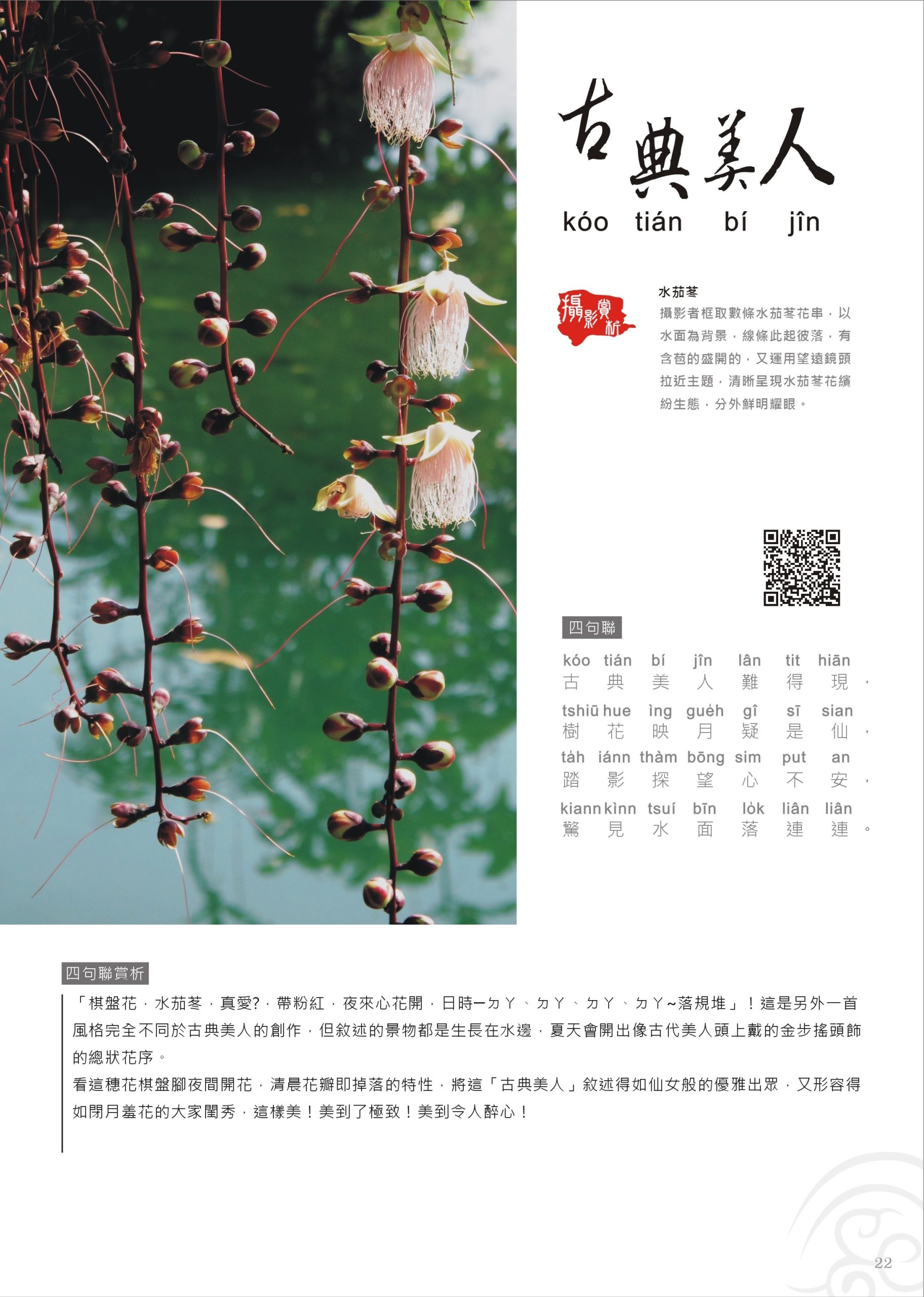 標誌