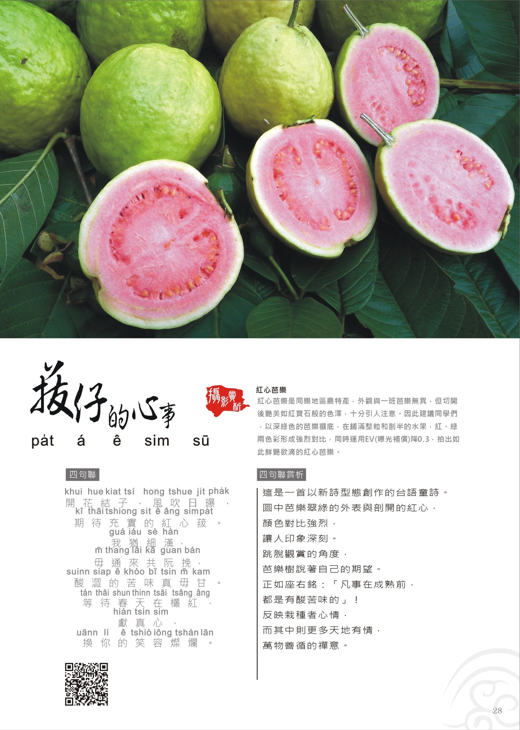 標誌