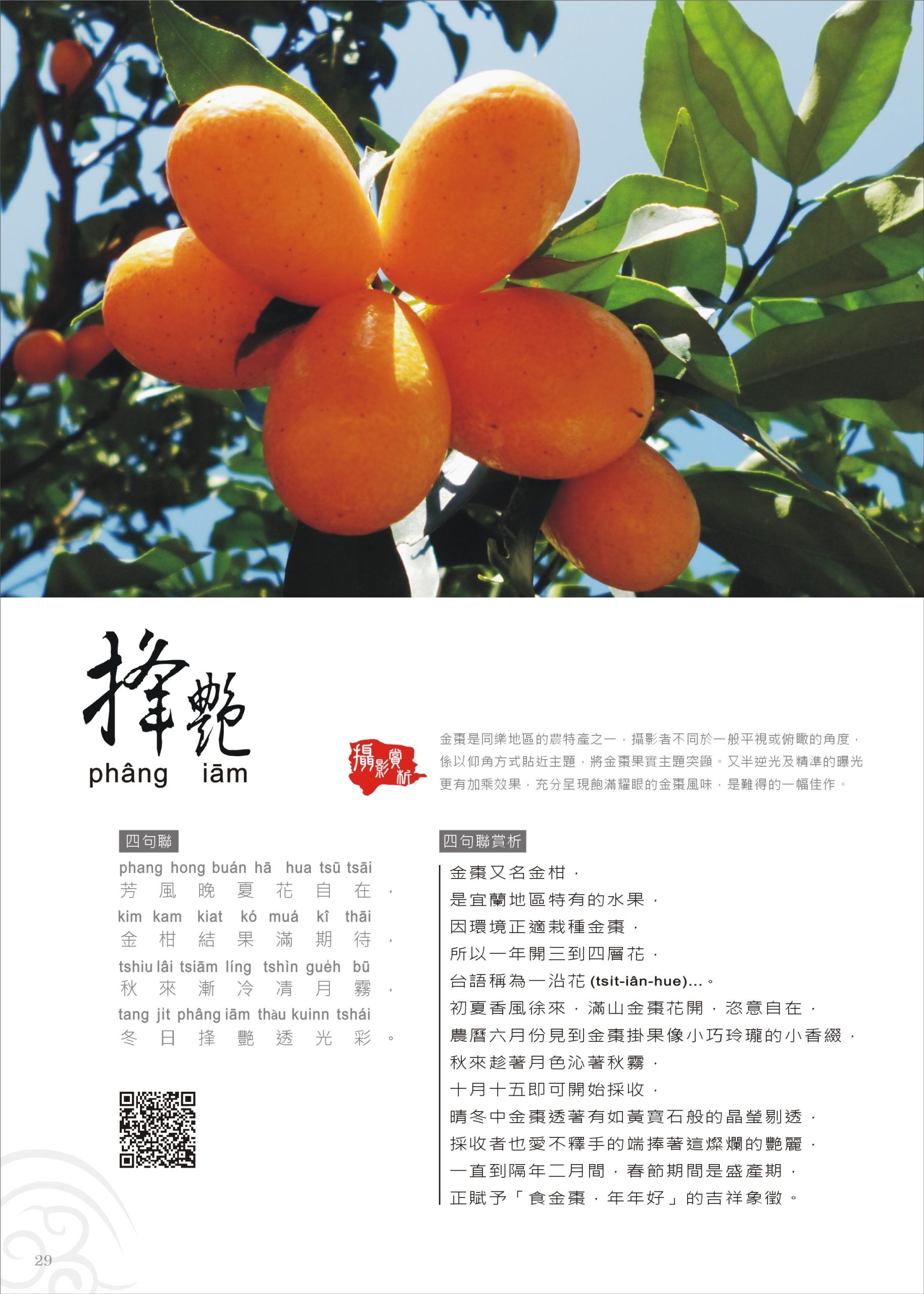 標誌