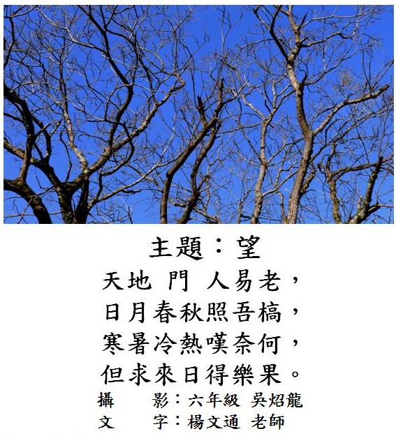 標誌