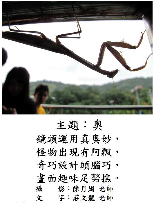 標誌