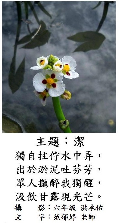 標誌