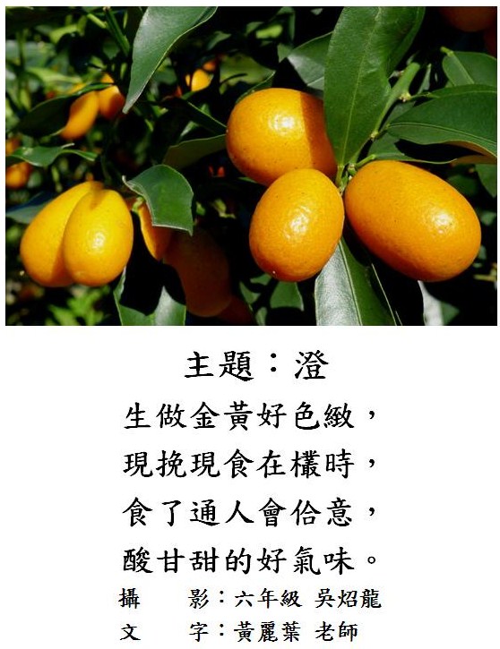 標誌
