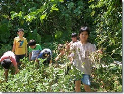 IMG20200629093703