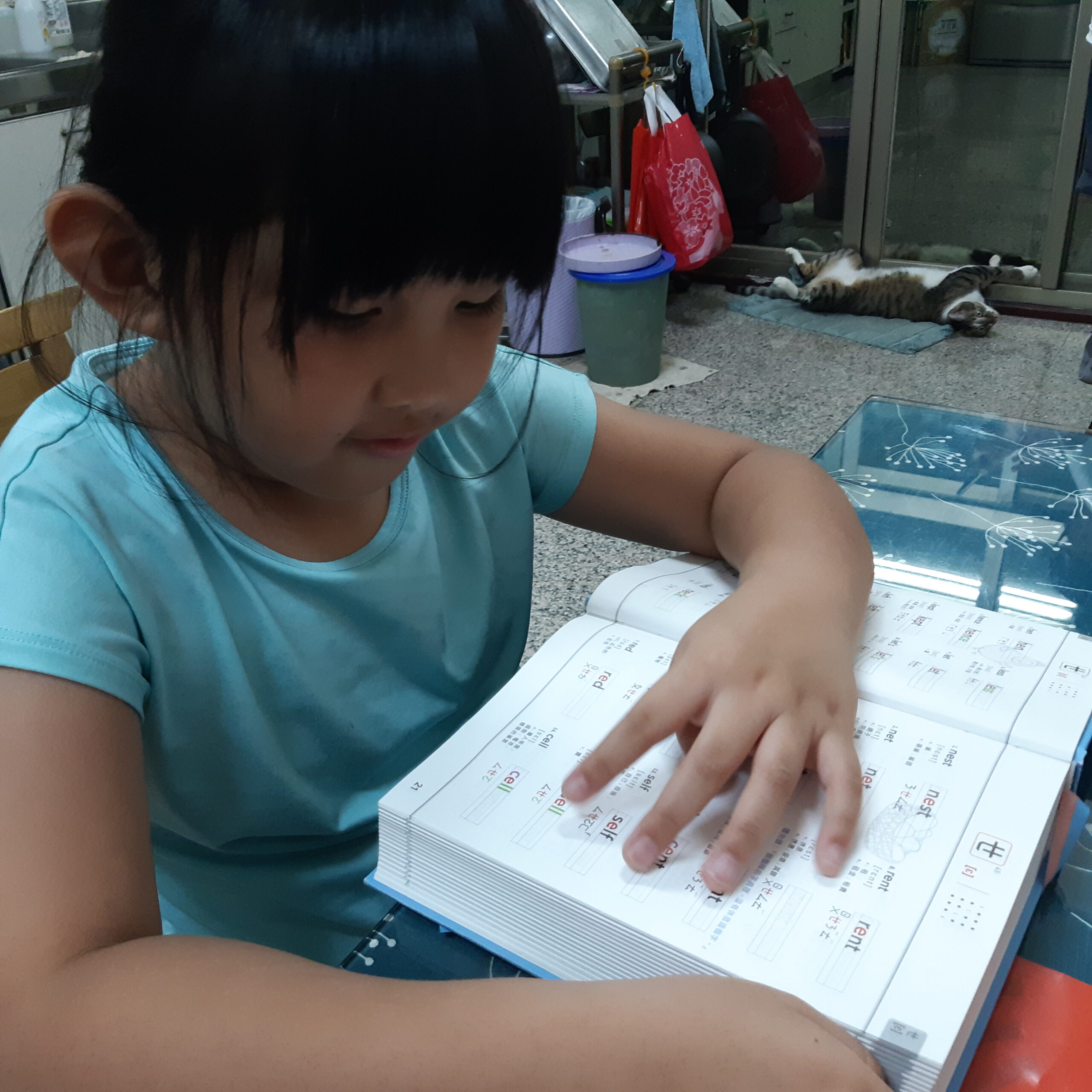 20210524《臺灣雙語宇典》6歲學生用臺灣雙語280音唸臺灣雙語字典英文單字