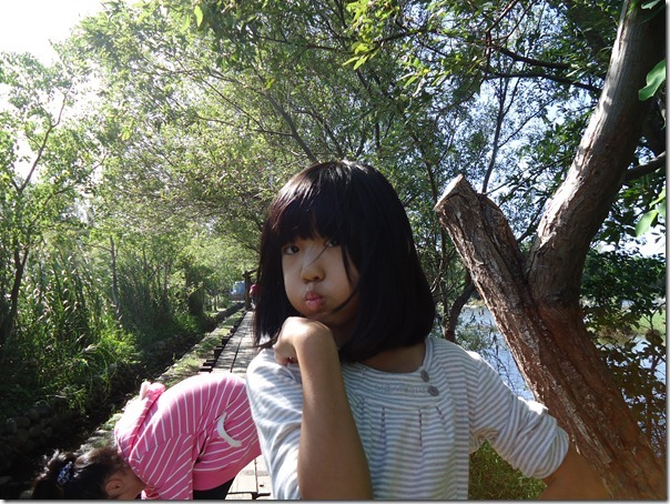 DSC01341