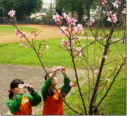 102sakura-59h104 (1)