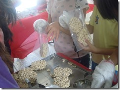 DSCN0937