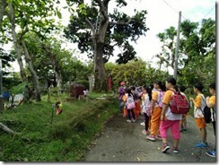 clip_image017