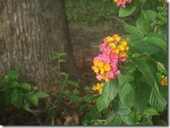 clip_image002[14]