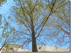 clip_image002[22]