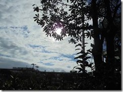 clip_image002[24]