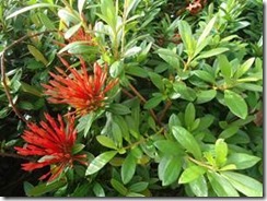 clip_image002[26]