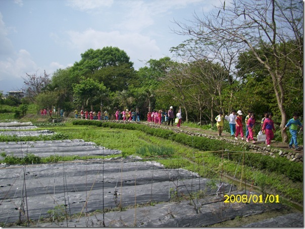 DSCI2456