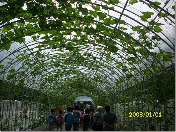 DSCI2508