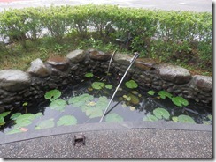 2-生態水池回收雨水