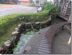 3-生態水池回收雨水