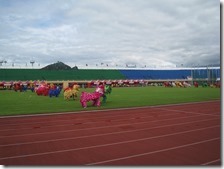 IMG_6101