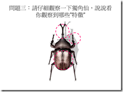 投影片5