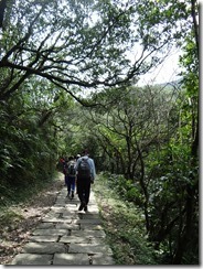 DSC05331