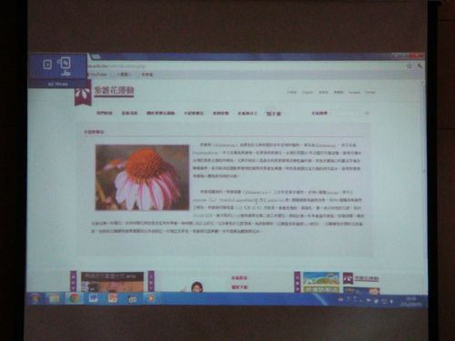 1010903紫錐花