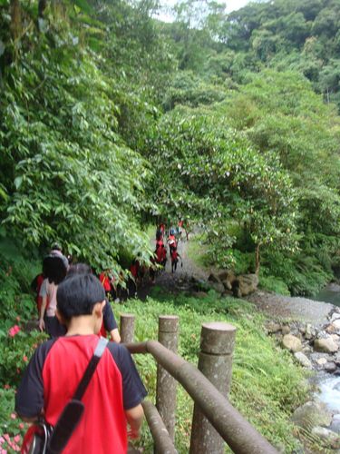 1000603大同泰雅