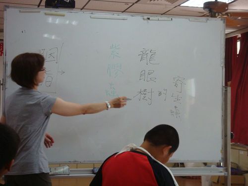 1000617藝文專案-植物染(六)