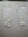 970523自治選舉