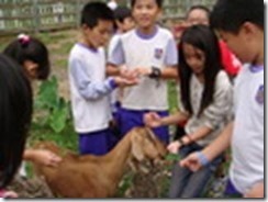 clip_image002[10]