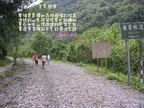 DSCN1998.jpg