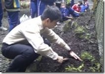 clip_image016