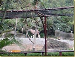 DSC01002