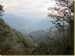IMG_0264