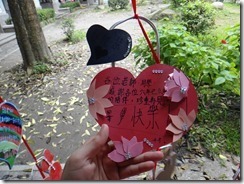DSC05354