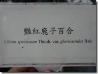 DSC01700