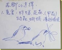 clip_image004