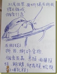 clip_image006