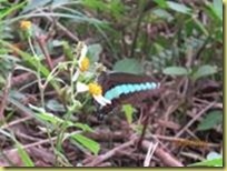 clip_image018