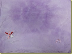 DSCN0705