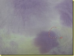 DSCN0710