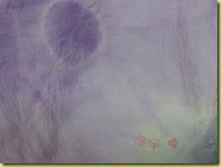 DSCN0712