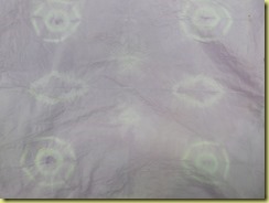DSCN0714